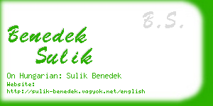 benedek sulik business card